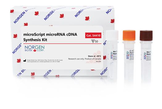 microScript microRNA cDNA Synthesis Kit - 50 reactions